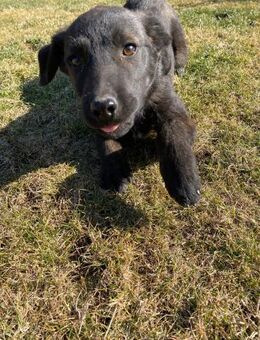 🩷 𝐅𝐢𝐧𝐣𝐚 - Markkleeberg