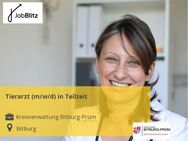 Tierarzt (m/w/d) in Teilzeit - Bitburg