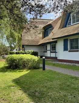 Ferienwohnung an den weitläufigen Boddenwiesen - Wieck (Darß)