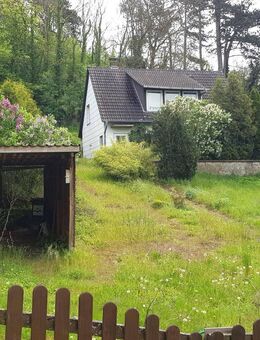 Einfamilienhaus in Hettensen - für den Käufer provisionsfrei! - Hardegsen