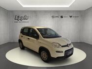 Fiat Panda, 1.0 GSE Hybrid, Jahr 2024 - Rutesheim