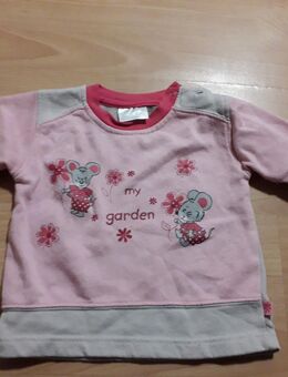 Süser Pullover gr. 74 topolino - Osnabrück