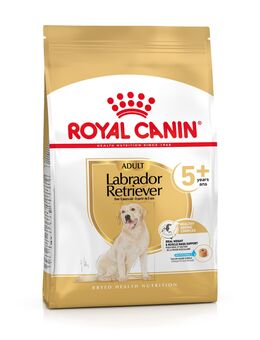 Royal Canin Labrador Retriever Adult 5+ - 12 kg
