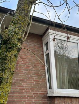 Super-Sonnen-Bungalow mit 2 WE in Strandlage! Einmalig! - Wangerooge