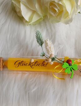 Glückslicht Kerze im Glaszylinder Kleeblatt Marienkäfer - Rheinbach