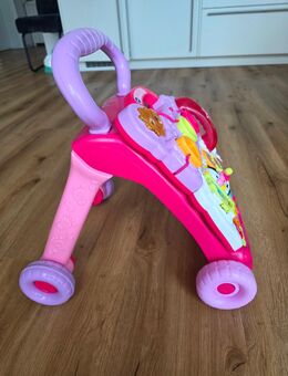 Lauflernwagen VTechBaby, Spiel-und Laufwagen - Hagen (Stadt der FernUniversität) Vorhalle