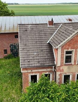 Großzügiger Resthof mit Baugrundstück und Weideflächen, vielseitige Möglichkeiten in naturnaher Lage - Averlak