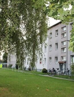 Renditeobjekt bei Greifswald, MFH mit 1.600 m² Wohnfläche im Makler-Alleinauftrag - Greifswald