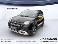 Fiat Panda, Pandina Cross, Jahr 2024 - Gummersbach