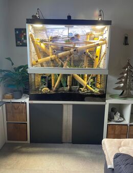 Paludarium Terrarium mit Besatz, Technik und Zubehör - Hamm