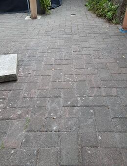 Betonsteine zu Verschenken - Hanau (Brüder-Grimm-Stadt) Steinheim