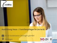 Ausbildung Haus- / Familienpfleger/in (m/w/d) - Ditzingen