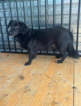 WERNER -Zuneigung ist für mich was Neues - Overath