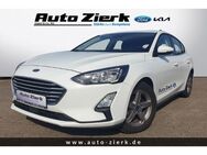 Ford Focus Cool & Connect 1.0 EcoBoost,Winter-Paket,Kamera,Klima - Peine