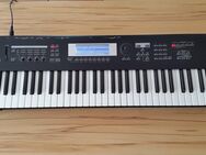 Korg Triton LE 61 black mit 128MB SmartMedia Card + Soundsets - Nordheim