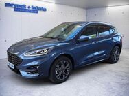 Ford Kuga 2.5 Duratec PHEV ST-LINE X iACC+LED+NAVI+FA - Freiburg (Breisgau)