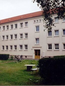2-Raumwohnung in der Herweghstraße in Braunsbedra - Braunsbedra