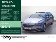 Skoda Superb, 2.0 TDI Combi Style Superb C Premium Ed, Jahr 2020 - Freiburg (Breisgau)