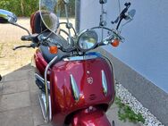 Retroroller, 1 Jahr alt, echte 65 km - Gosen-Neu Zittau