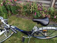 Damenfahrrad - Egenhofen