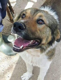 Elio möchte mit dir die Welt erobern! - Oberhausen