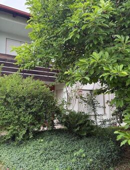 I. I. TEAM: Hobbyhandwerker gesucht, DHH in sehr schöner Lage wartet auf eine Renovierung! - Raubling