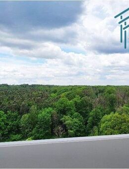 Sehr gut geschnittene 3 Zi.-Whg. mit 3 Balkonen - Heusenstamm