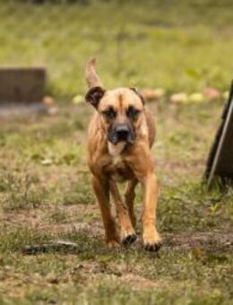 BERTA - kommt los 'ne Runde drehen - Overath