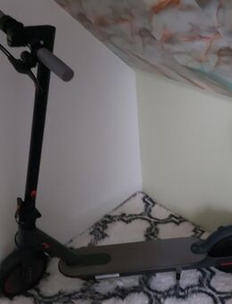 E Scooter - Bad Freienwalde (Oder)