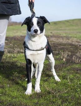 Zazu ein bezauberndes Mädchen - Puchheim