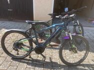 2 Haibike Hardseven Mountain eBikes - Rottenburg (Neckar)