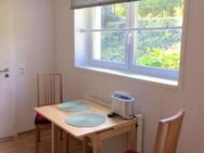 Großzügiges 1-Zimmer-Apartment mit Vorraum in Frankfurt-Unterliederbach ausgezeichnet für Pendler - Frankfurt (Main)