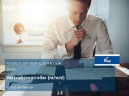 Vertriebscontroller (m/w/d) - Sulz (Neckar)