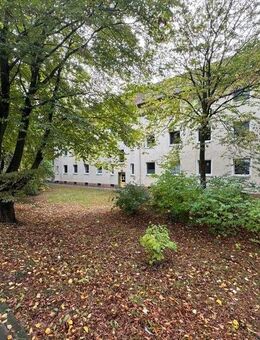 Neue Wohnung, neues Glück! - Braunschweig