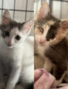 Feather und Cindy - Grevenbroich