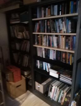 429 Bücher (Kunstbände, Fachbücher, Romane, Bildbände, ect.) - Waldbreitbach