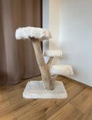 Kratzbaum Natur, Katze, Kater, Kitten in 59457