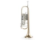 Orchestertrompete B & S Konzert - Trompete, Mod. 3005 / 3 WTR aus Goldmessing - Hagenburg