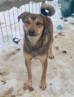 Unser kleines Energiebündel Nils - Weilheim (Oberbayern)