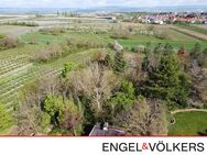 Exklusives Baugrundstück mit fantastischem Blick zum Taunus in Mainz Lerchenberg - Mainz