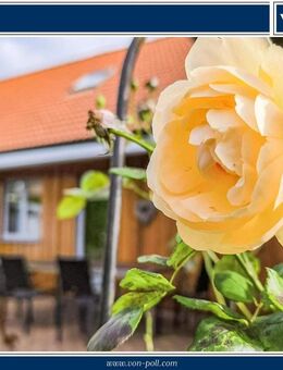 In voller Pracht ... - Cuxhaven