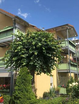 Ab 1. September leerstehende 4-Zimmer-Dachgeschoss-Wohnung mit Balkon in Moritzburg OT Boxdorf zu verkaufen! - Moritzburg