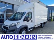 Peugeot Boxer, Koffer Hdi 160 LBW NEU, Jahr 2019 - Cloppenburg