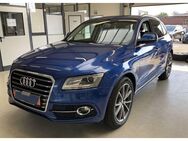 Audi Q5 2.0 TDI Ultra S-Line Edition Plus PANORAMA - Cadolzburg