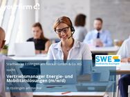 Vertriebsmanager Energie- und Mobilitätslösungen (m/w/d) - Esslingen (Neckar)