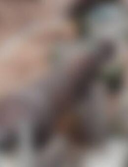 Cha*** - Weiden (Oberpfalz)