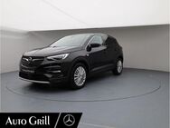 Opel Grandland, (X) Dynamic Ambiente, Jahr 2017 - Ebersberg