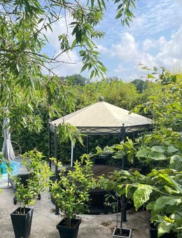 Leben, wie andere Urlaub machen - zeitloser Winkel-Bungalow mit Pool und Garten - Hückelhoven