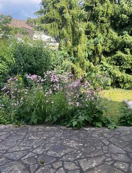 Wohnhaus mit Einliegerwohnung und großem Garten in Hanglage - Eggolsheim