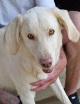 Aron sucht sein Traumzuhause - Neuss